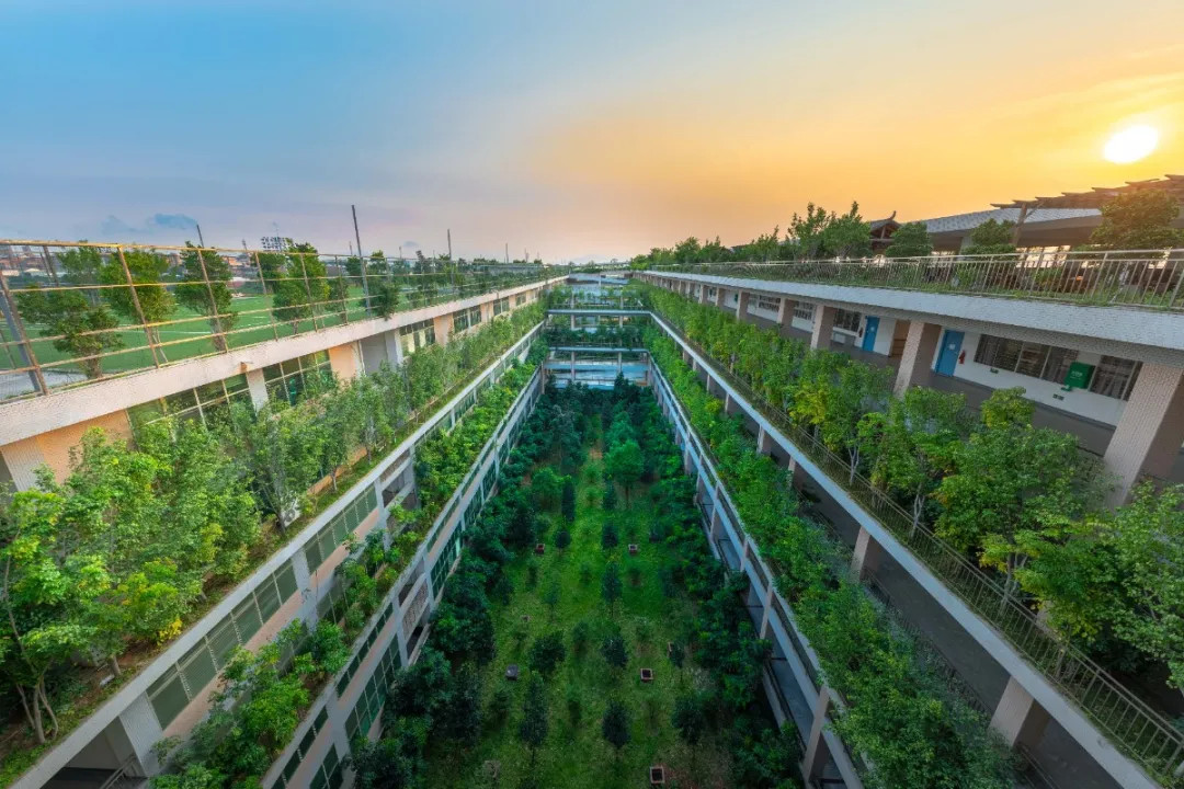 蜂蜜浏览器_llj.jpg 蜂蜜浏览器_llj.jpg